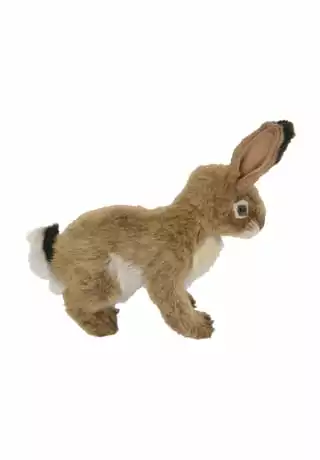 HANSA Creation Kuscheltier "Feldhase" 3 HANSA Creation Kuscheltier "Feldhase" – Bild 3